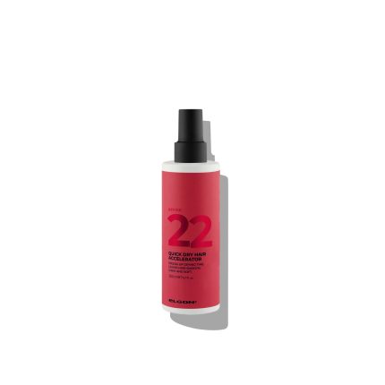 Elgon Affixx 22 Hızlı Kurutan Sprey 200 ml